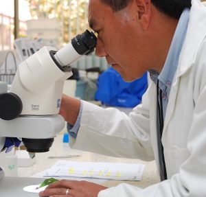 Doctor on Microscope