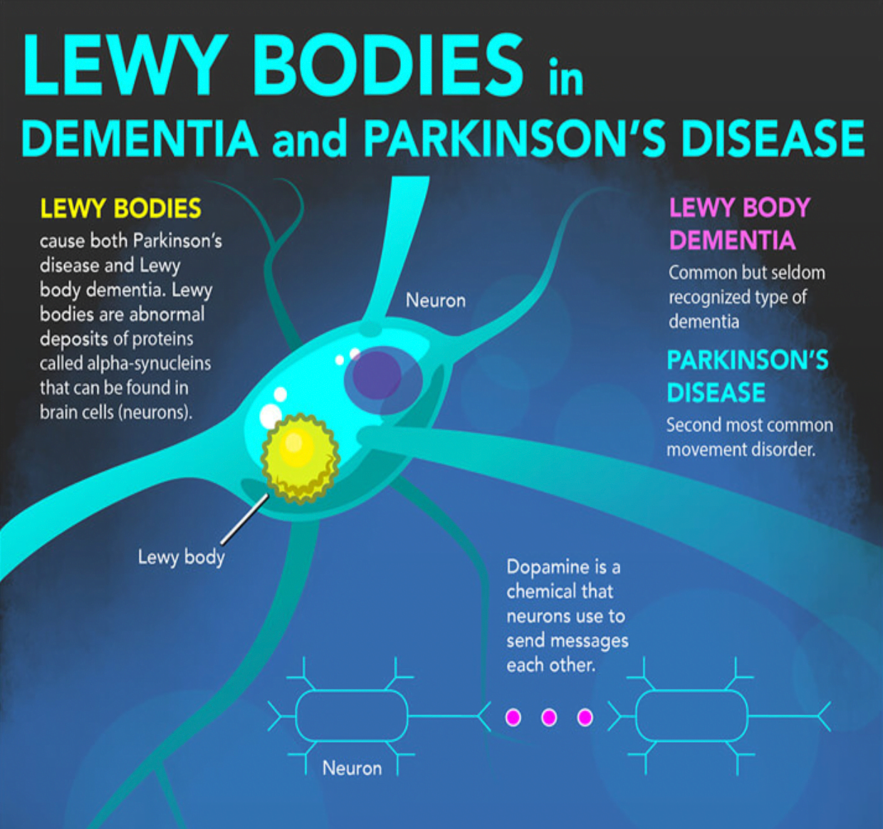 Lewy Bodies in Dementia and Parkinson's Disease" Infographic (NIH) - Brain  Support Network