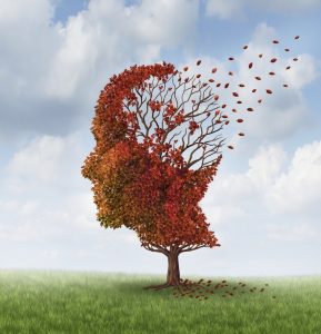Tree in the shape of a head with leaves blowing away